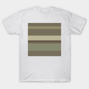 A superior integration of Quincy, Grey Brown, Brown Grey, Putty and Brown Grey stripes. T-Shirt